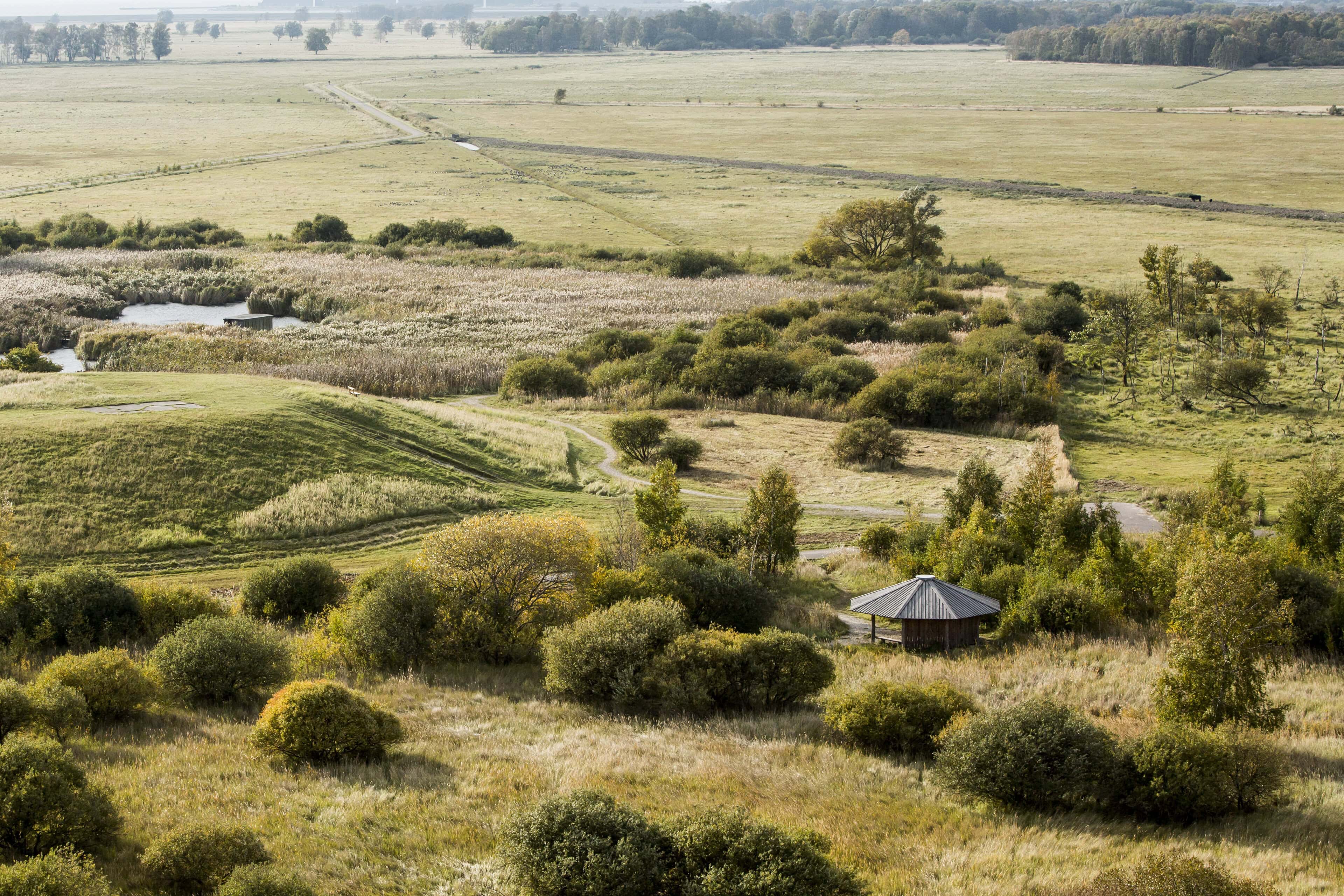 Else_Alfelts_Vej_20161014_TH_0194